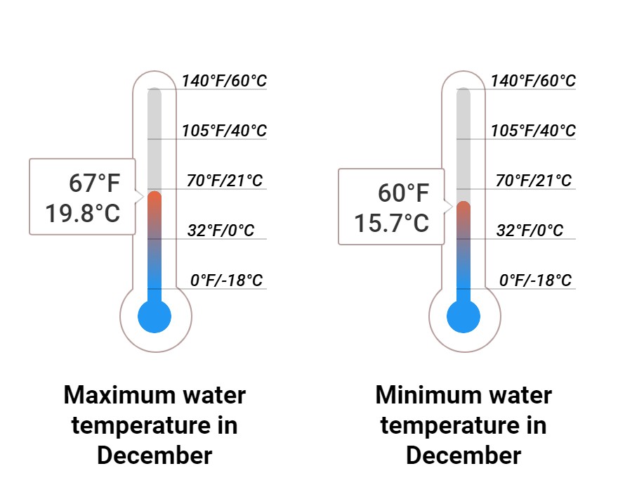 Average Sea temperature